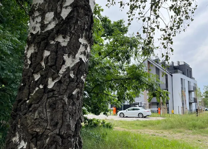 Apartman Venice Amb - Wyspa Sobieszewska Gdańsk